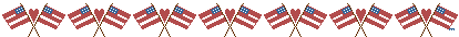 dblflagline